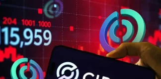 CRCL Stock Price Target Downgraded as Directors Sell Circle Shares