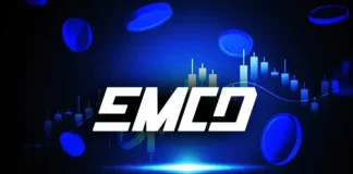 Here’s Why Your Contractors Got Paid Late Again – A Performa Verdict