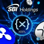 SBI Ripple Asia And DSRV to Study XRP Ledger Payments