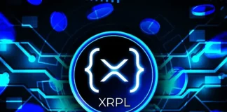 XRP Ledger Adds On-Chain Privacy as ‘Missing Piece’ for Institutional Adoption