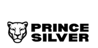 Prince Silver Announces $3.0 Million Non-Brokered Private Placement